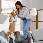5 Cleaning Tips for Pet-Friendly Homes