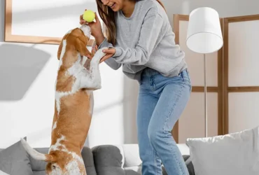 Cleaning Tips for Pet-Friendly Homes 3
